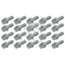 Image for Wheel Bolt/Nut