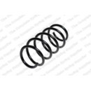 Image for Coil Spring