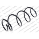 Image for Coil Spring