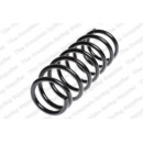 Image for Coil Spring