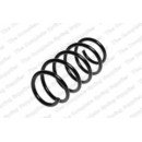 Image for Coil Spring