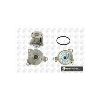 Image for Water Pump
