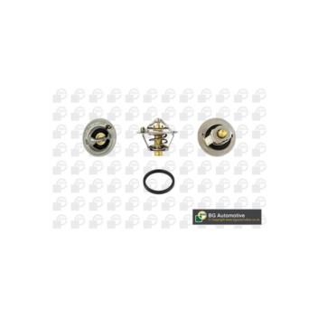 Image for Thermostat