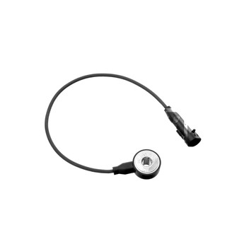 Image for Knock Sensor