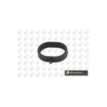 Image for Manifold Gasket