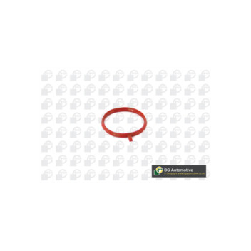 Image for Manifold Gasket