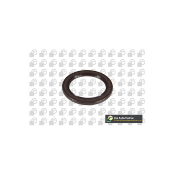 Image for Crankshaft Seal