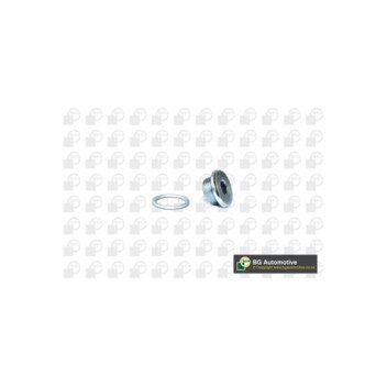 Image for Sump Plug