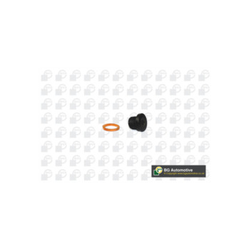 Image for Sump Plug