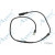 Image for Wheel Speed Sensor