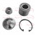 Image for Wheel Bearing Kit