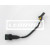 Image for Crank Angle Sensor