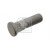 Image for Wheel Bolt/Nut