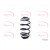Image for Coil Spring