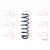 Image for Coil Spring