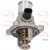 Image for Thermostat