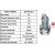 Image for Spark Plug