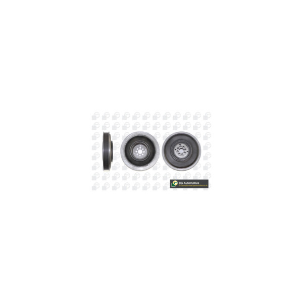 Torsion Vibration Damper image