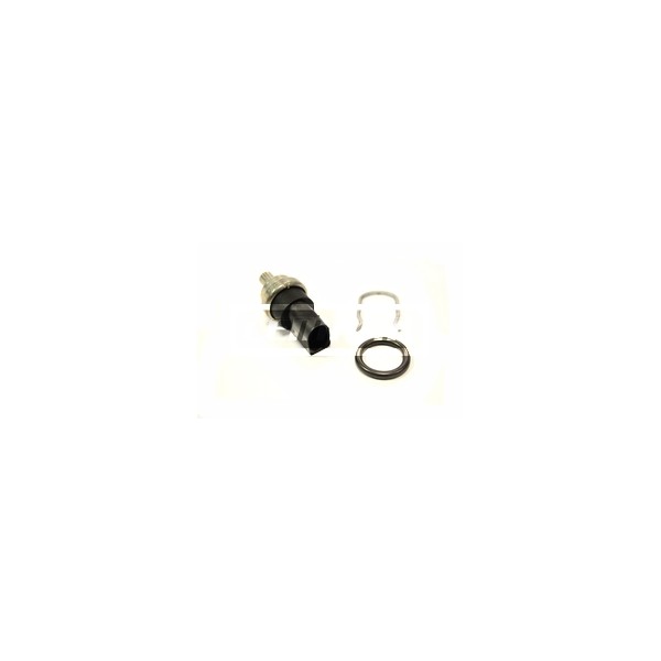 Fuel Temperature Sensor image