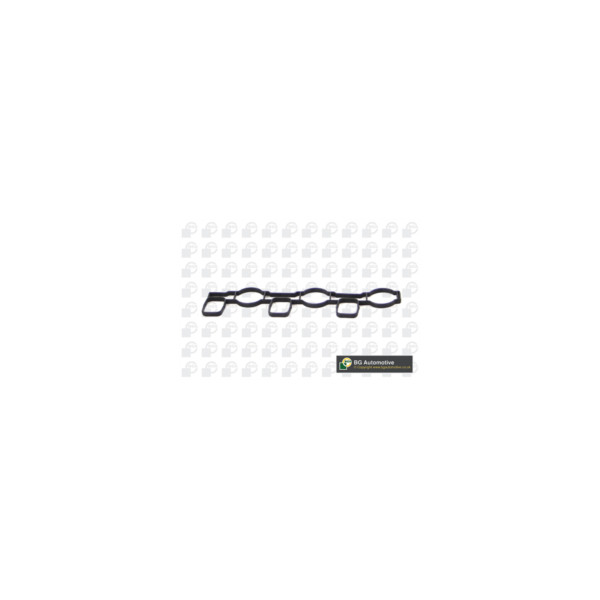 Manifold Gasket image
