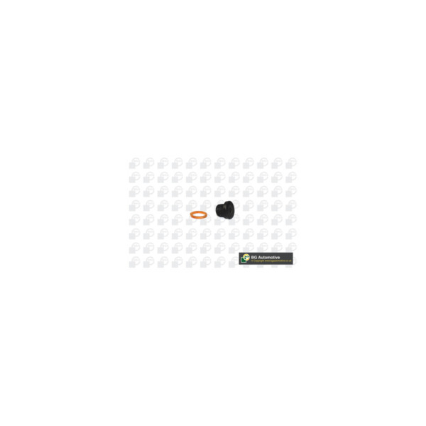 Sump Plug image