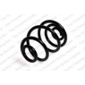 Image for Coil Spring
