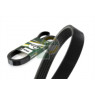 Image for Drive Belt